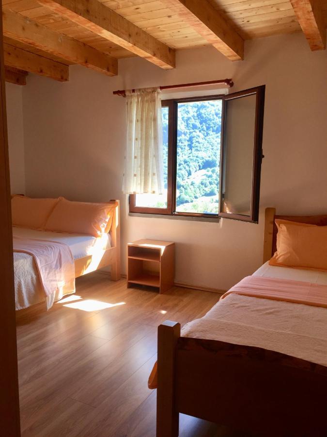 טת Guest House Panorama מראה חיצוני תמונה