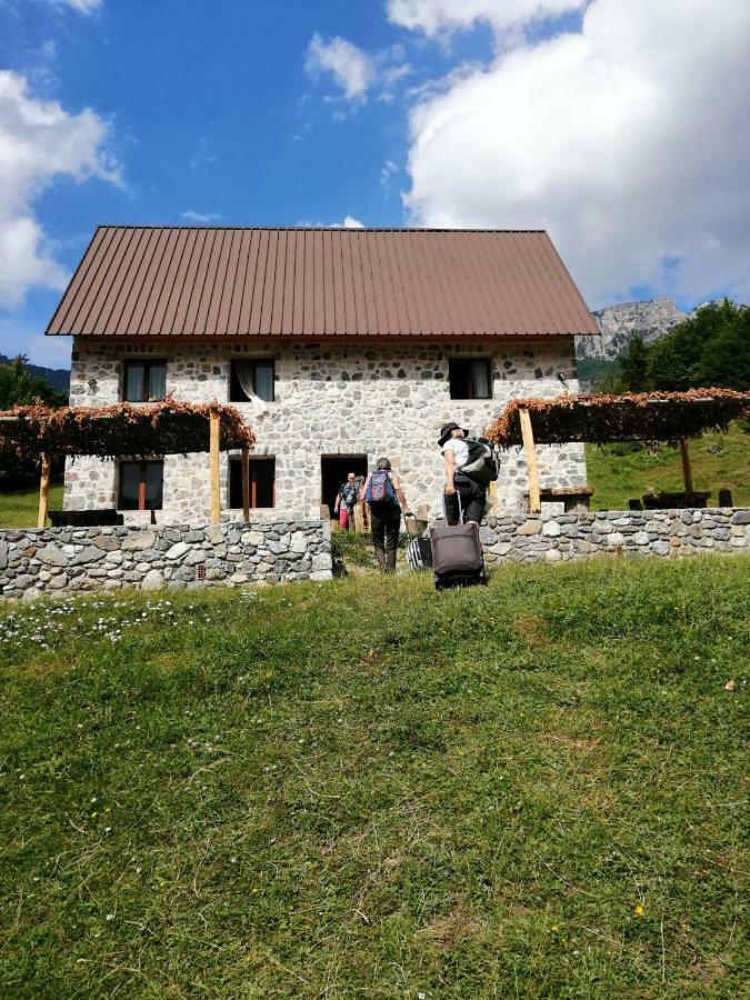 טת Guest House Panorama מראה חיצוני תמונה