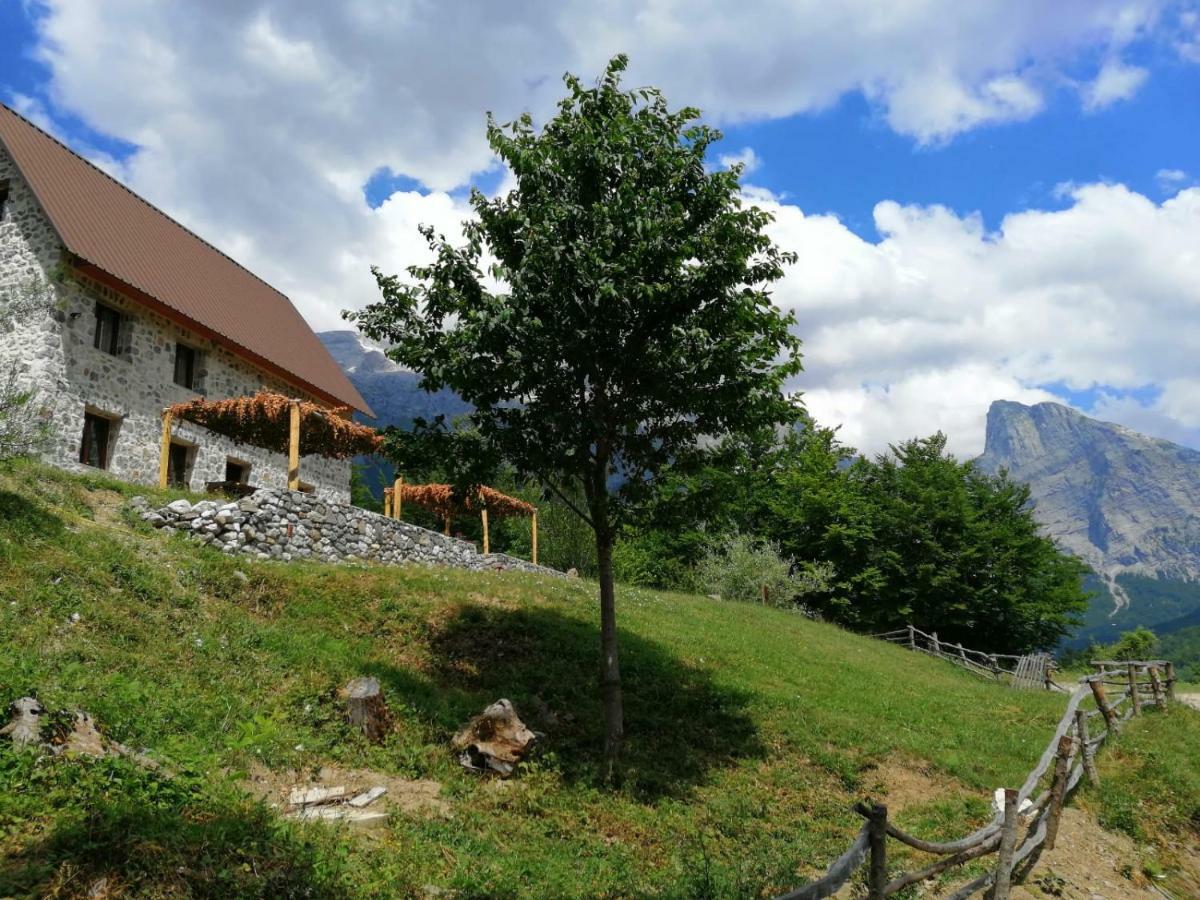 טת Guest House Panorama מראה חיצוני תמונה